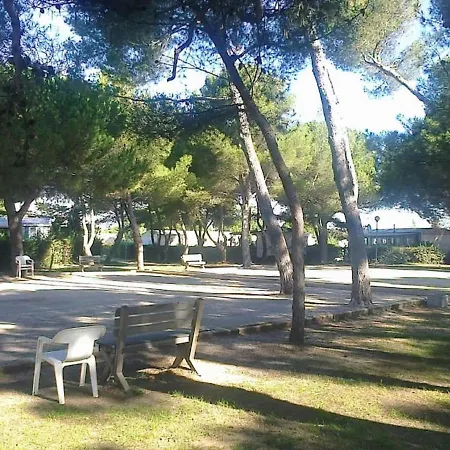 Bt - L'aventura 2 Ch, 2 Sdb, Entre Et Petite Camargue, Super Equipe Camping